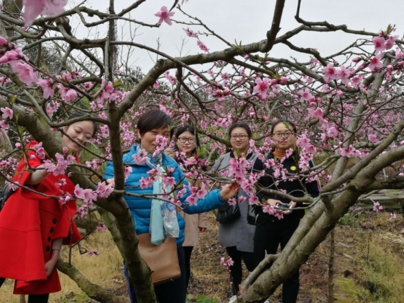 QQ图片20170328173040.jpg