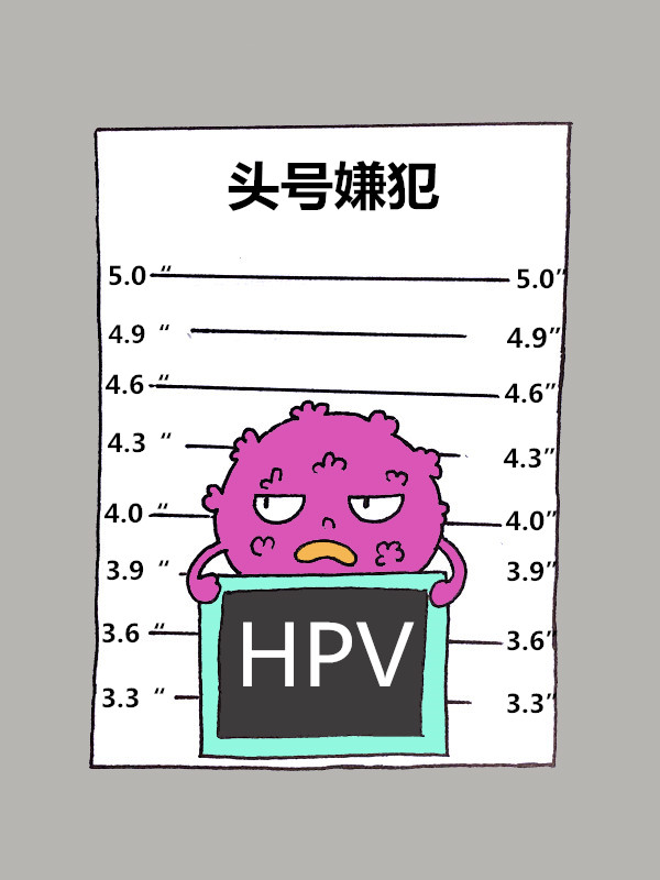 2.HPV_副本.jpg 2.HPV_副本.jpg
