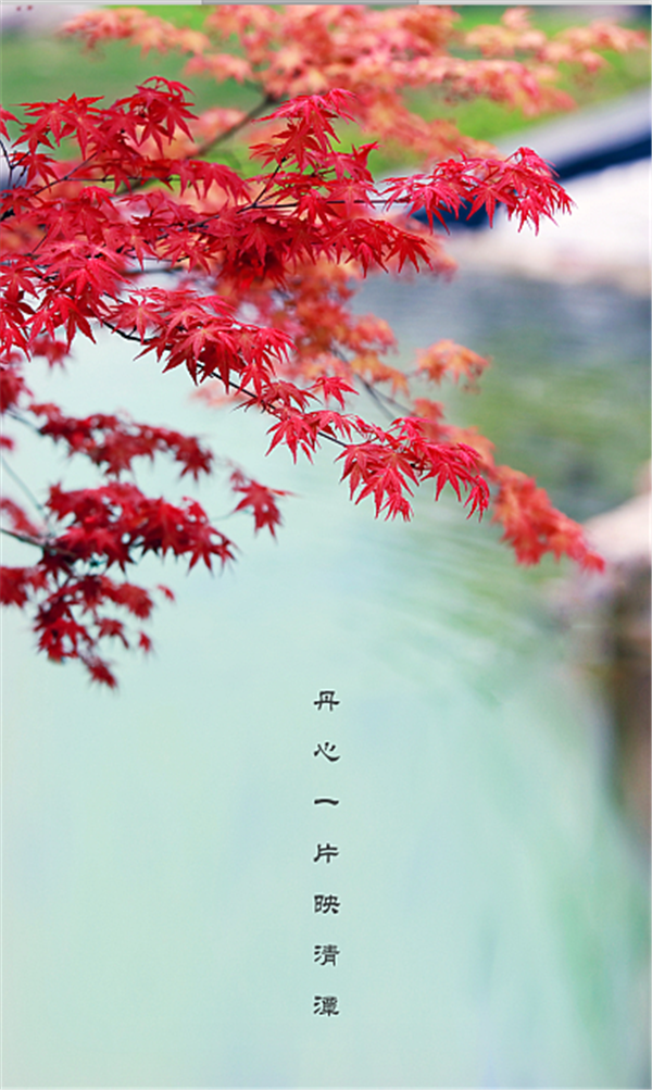 图片7_副本.png