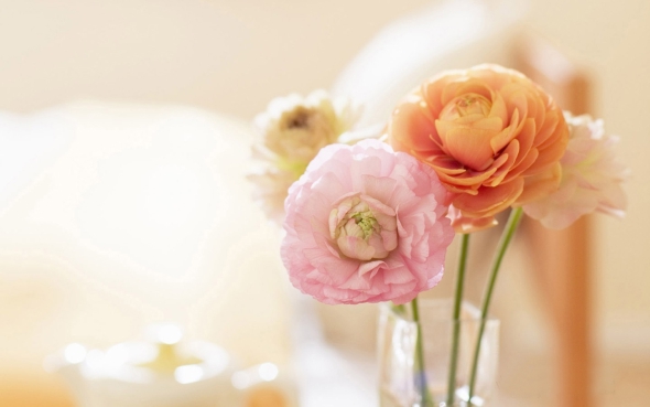 interior_sweet_flowers_art_12017.jpg interior_sweet_flowers_art_12017.jpg