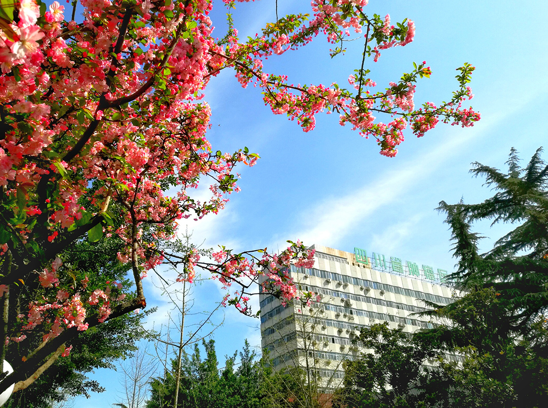 春色满园 素材.jpg